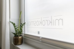 mikrokosmos Raum 2 - Yoga Meditation